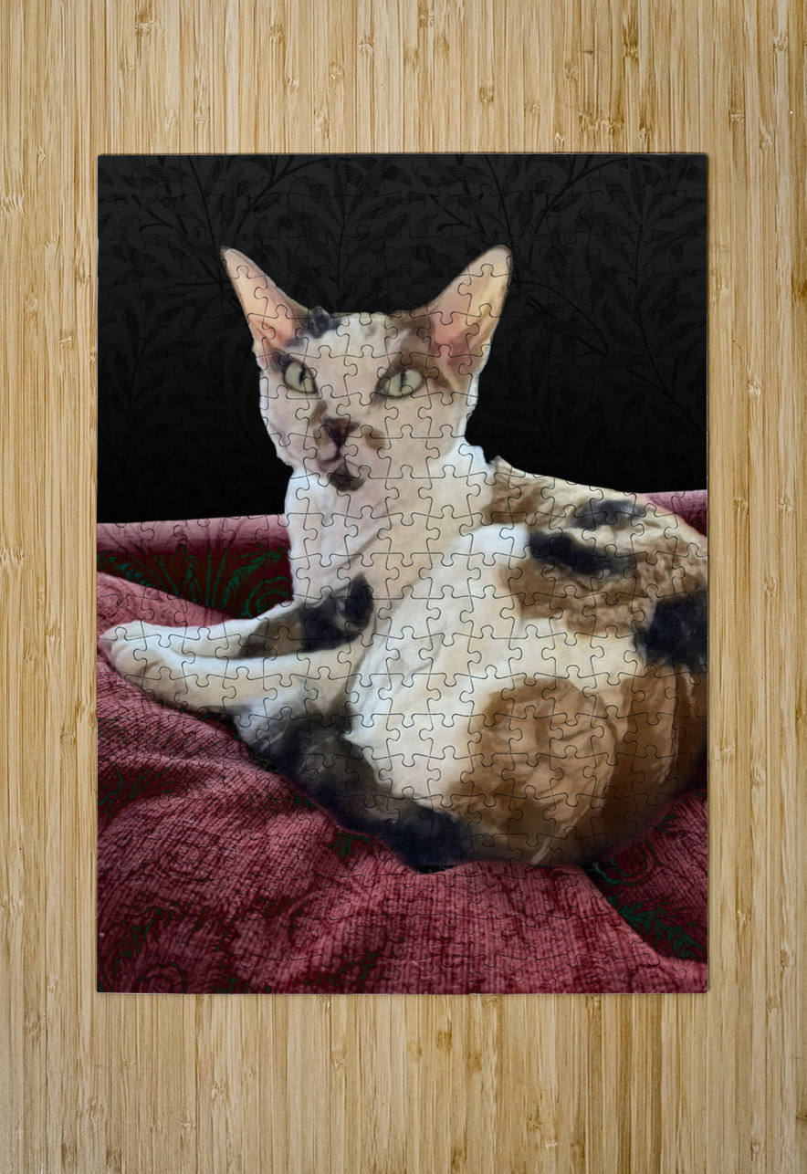 Cheesecake Cathleen Klibanoff Puzzle printing