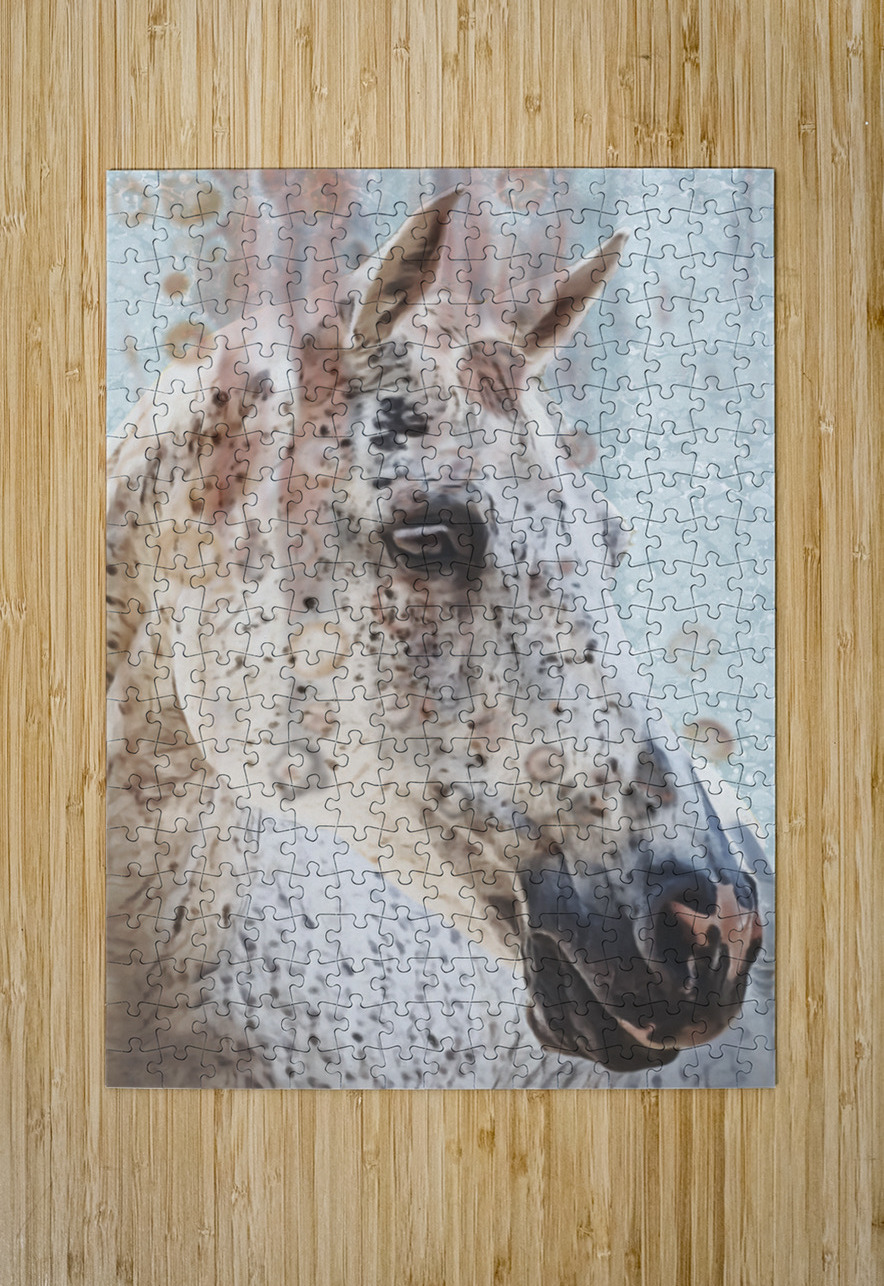 Queen Cathleen Klibanoff Puzzle printing