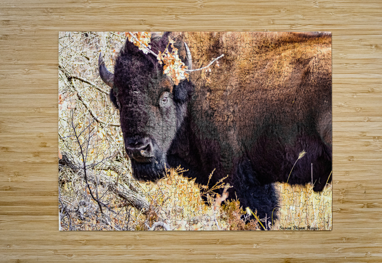 Into the Woods I Go Susan Diann Photography Puzzle printing