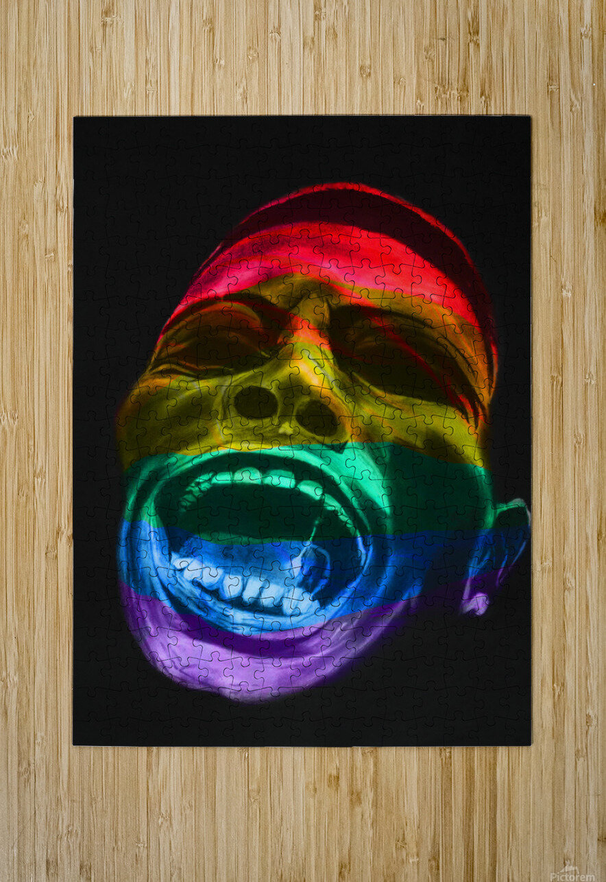 IMG 1354 try Abhijeet Shrivastava Puzzle printing