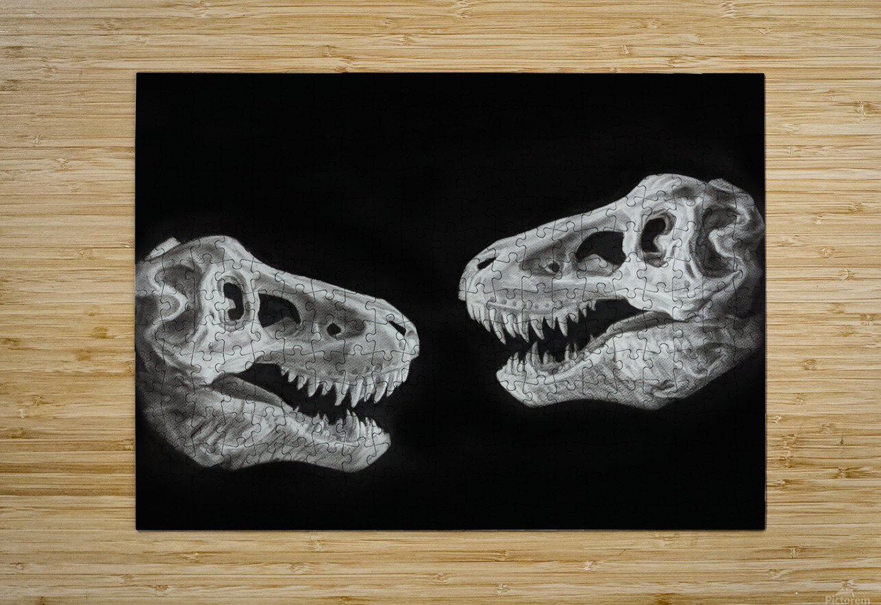 PXL 20220327 141727863 Abhijeet Shrivastava Puzzle printing