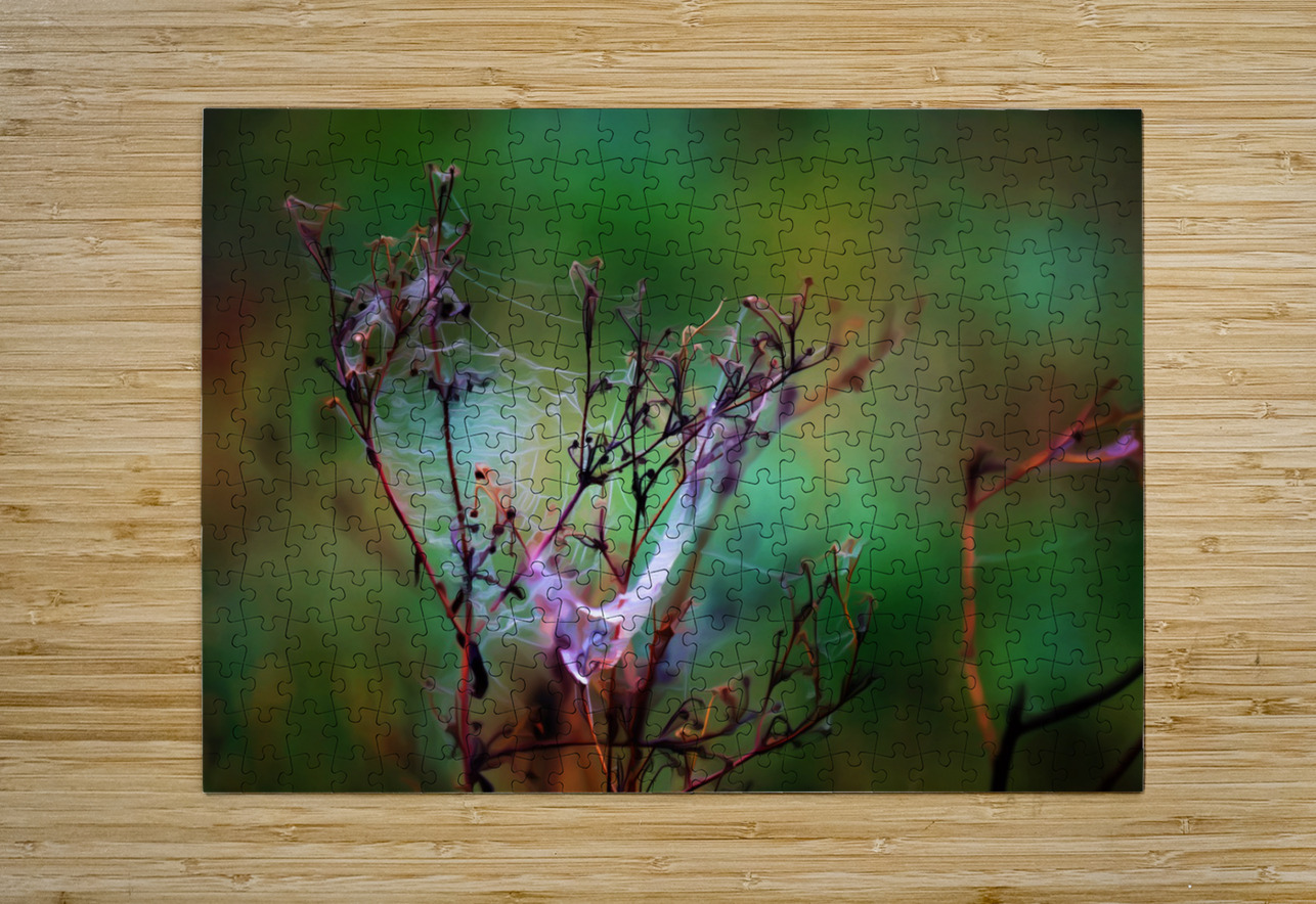 Morning Masterpiece Mark Overbye Puzzle printing