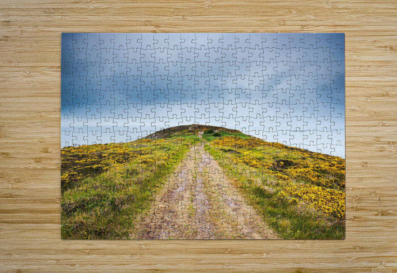 Empty path with yellow flowers Philippe Lejeanvre Puzzle printing