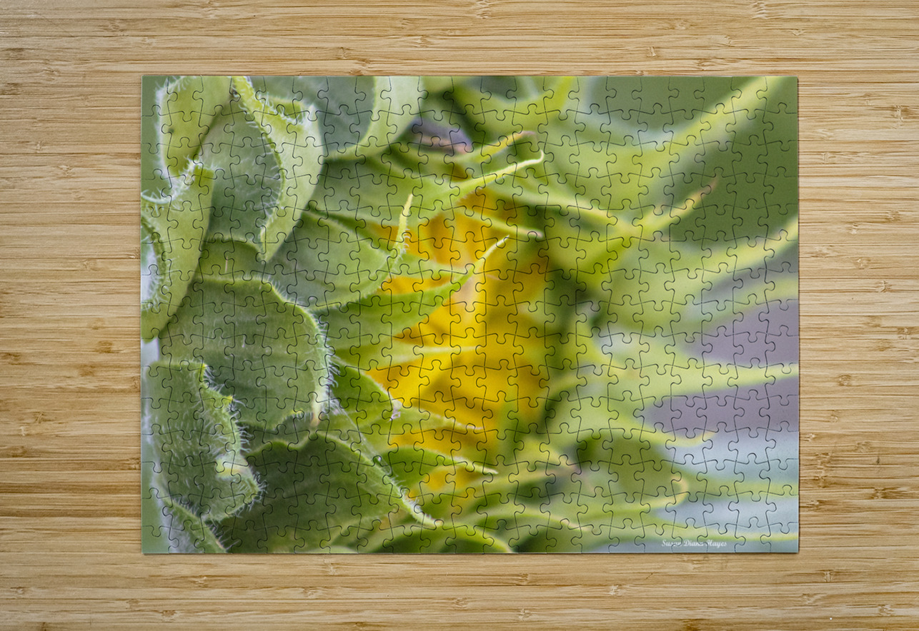 Turning Toward The Promise Susan Diann Photography Impression de puzzle