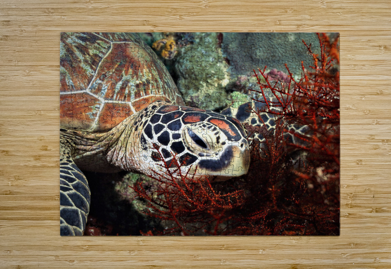 3063 mohamed elabari Puzzle printing