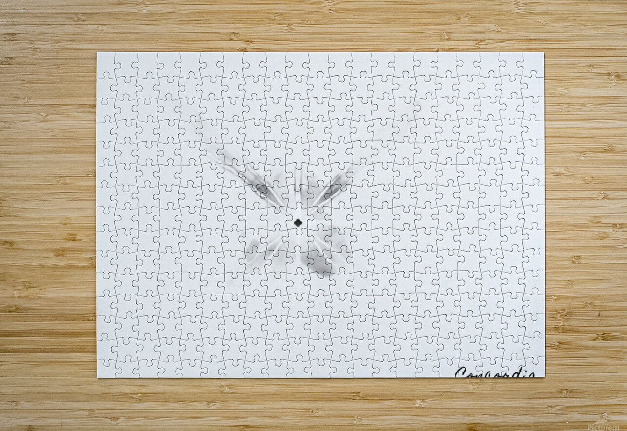 The Light ArtByConcordia Puzzle printing
