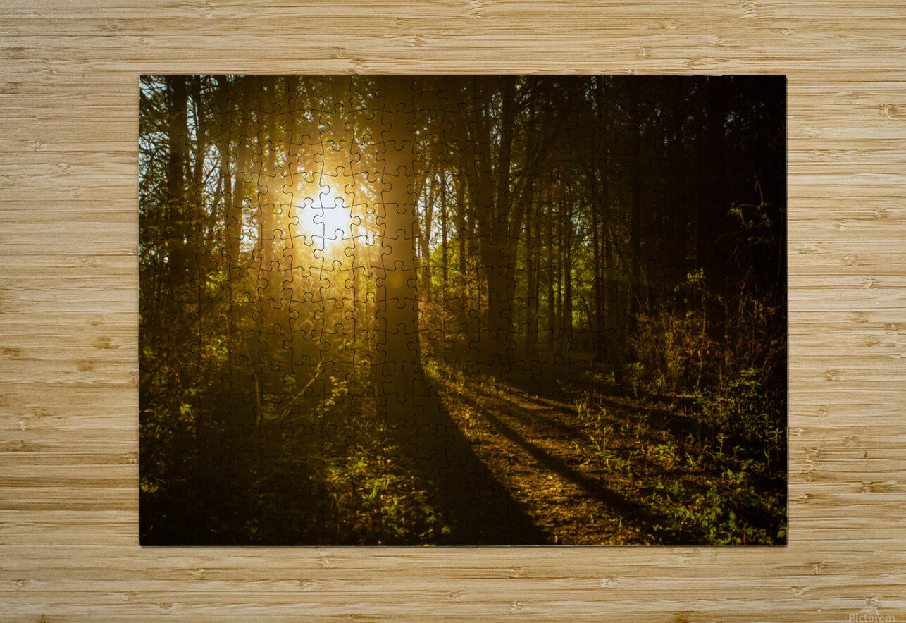 Nature Photography - Golden Path - Towne Park MO Steve Alejandro Puzzle printing