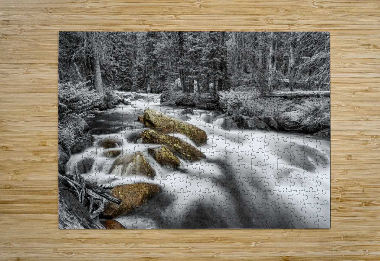 Roosevelt National Forest Stream BW Selective Bo Insogna Puzzle printing