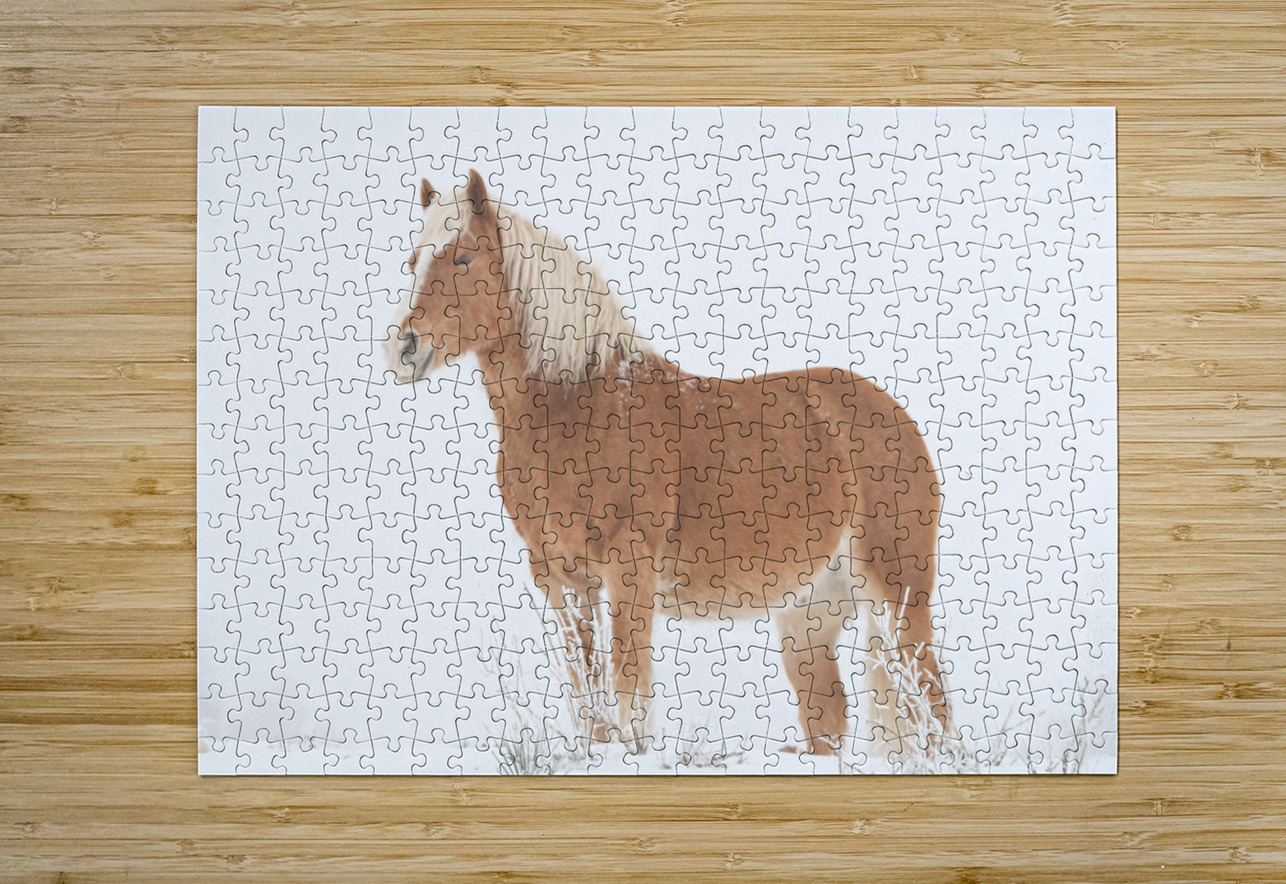 Smiling Palomino Snow Bo Insogna Puzzle printing