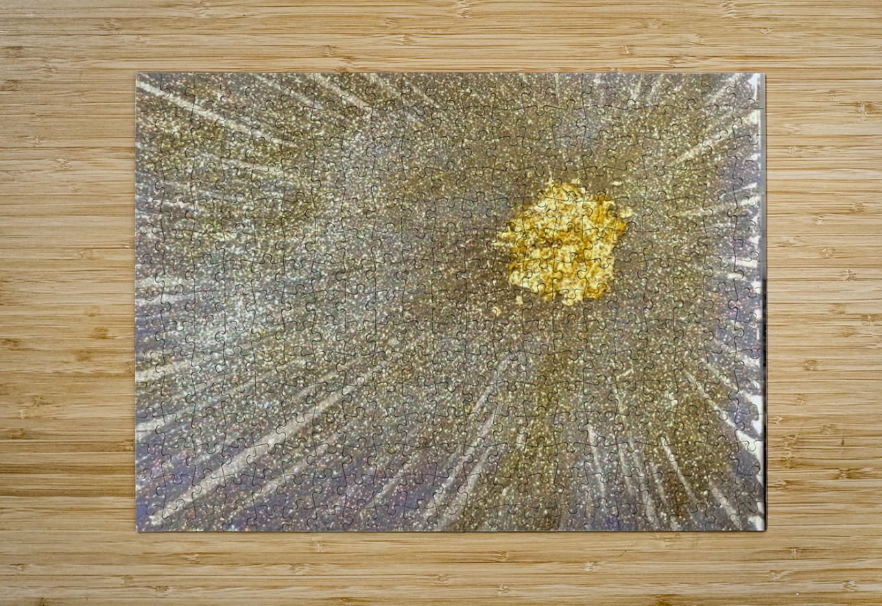 Golden Starburst  Bri Bass Puzzle printing
