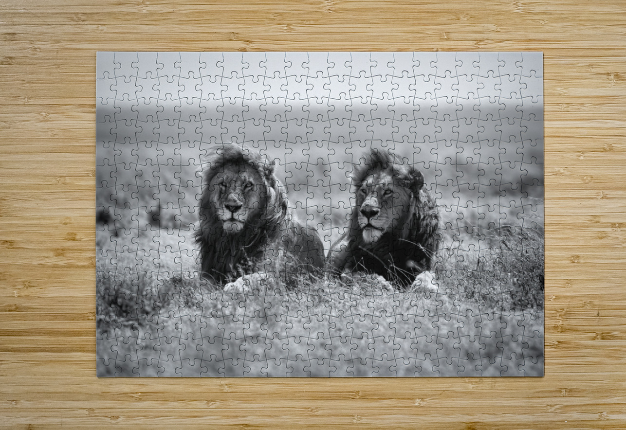 Two kings 1x Puzzle printing