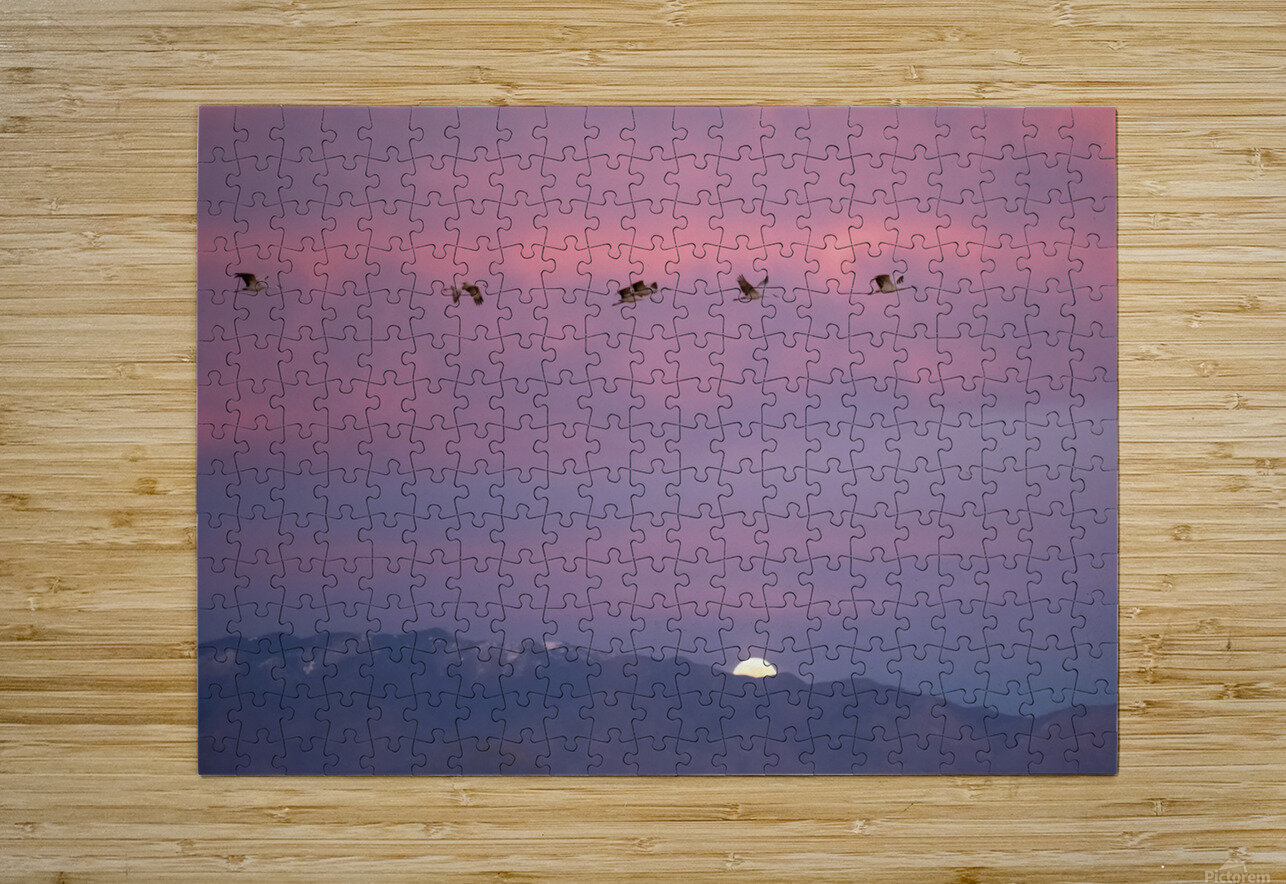 DSC 2671 edit cropped noise reduced healed 16x24. Phillip A Snider Photography Puzzle printing