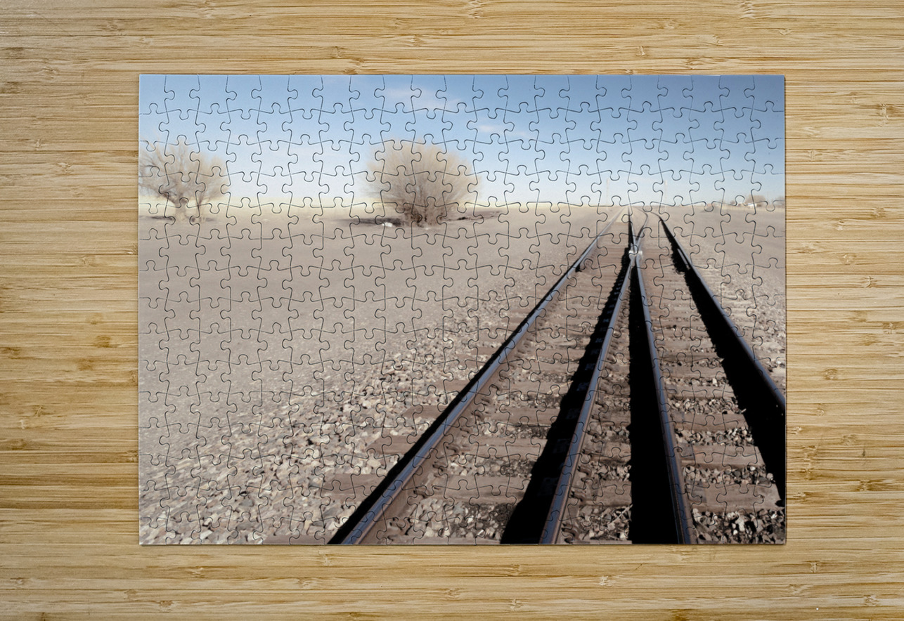 Two Tracks Mark Schacter Puzzle printing