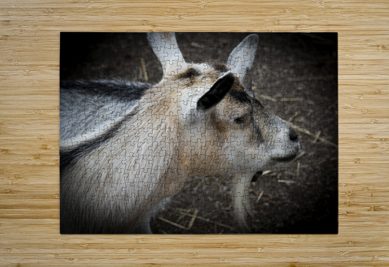 Chevre et compagnon Melissa Lefebvre Puzzle printing