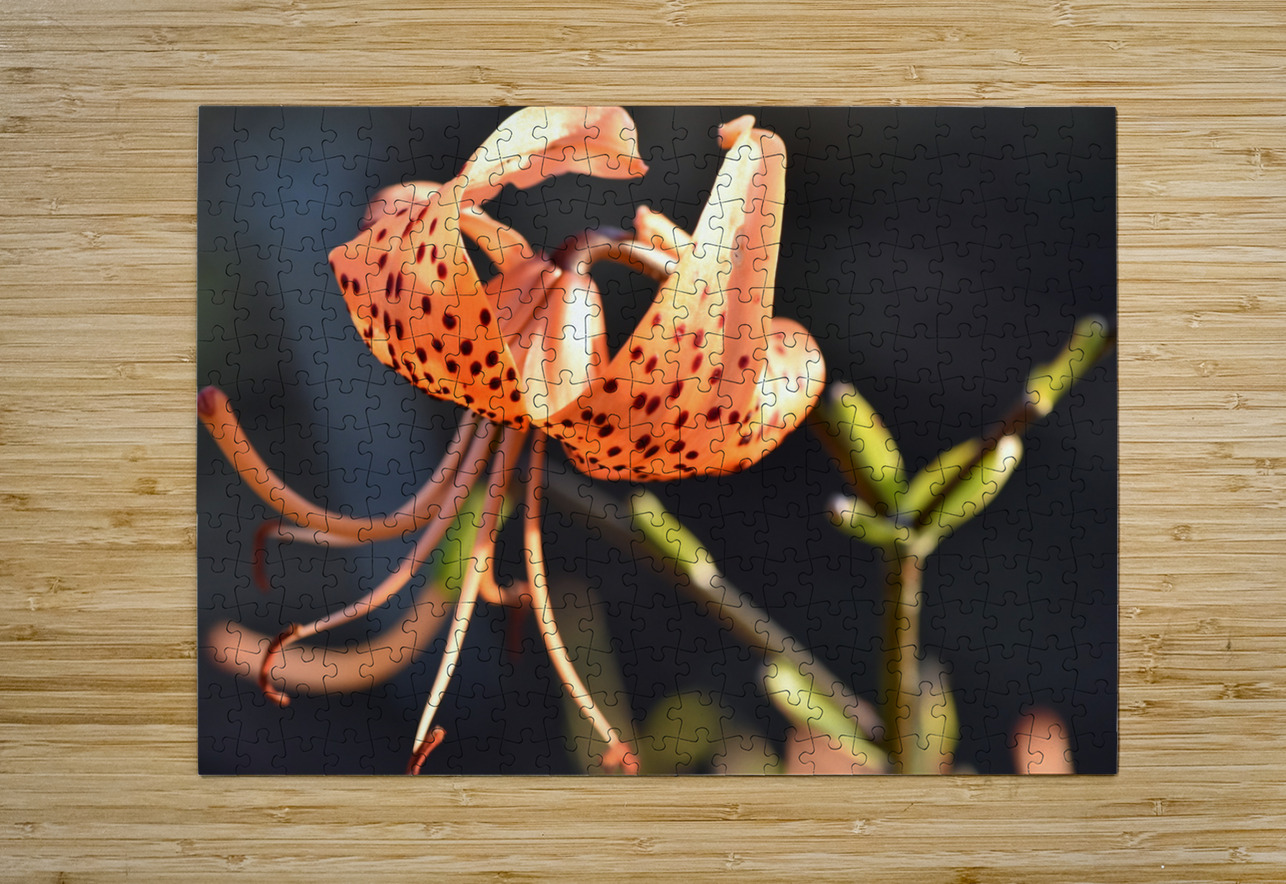 Lys au soleil dete Melissa Lefebvre Puzzle printing