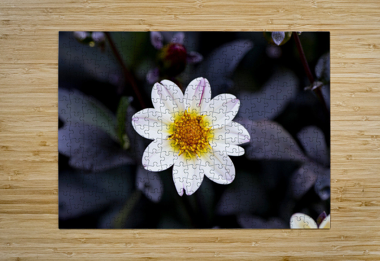 Fleur naturel Melissa Lefebvre Puzzle printing
