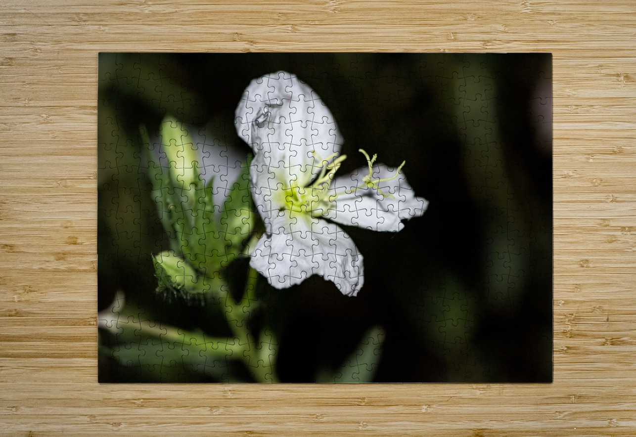 Fleurs power Melissa Lefebvre Puzzle printing