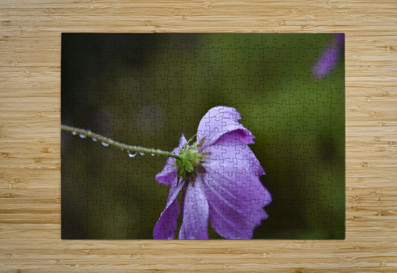 Macros sous la pluie Melissa Lefebvre Puzzle printing