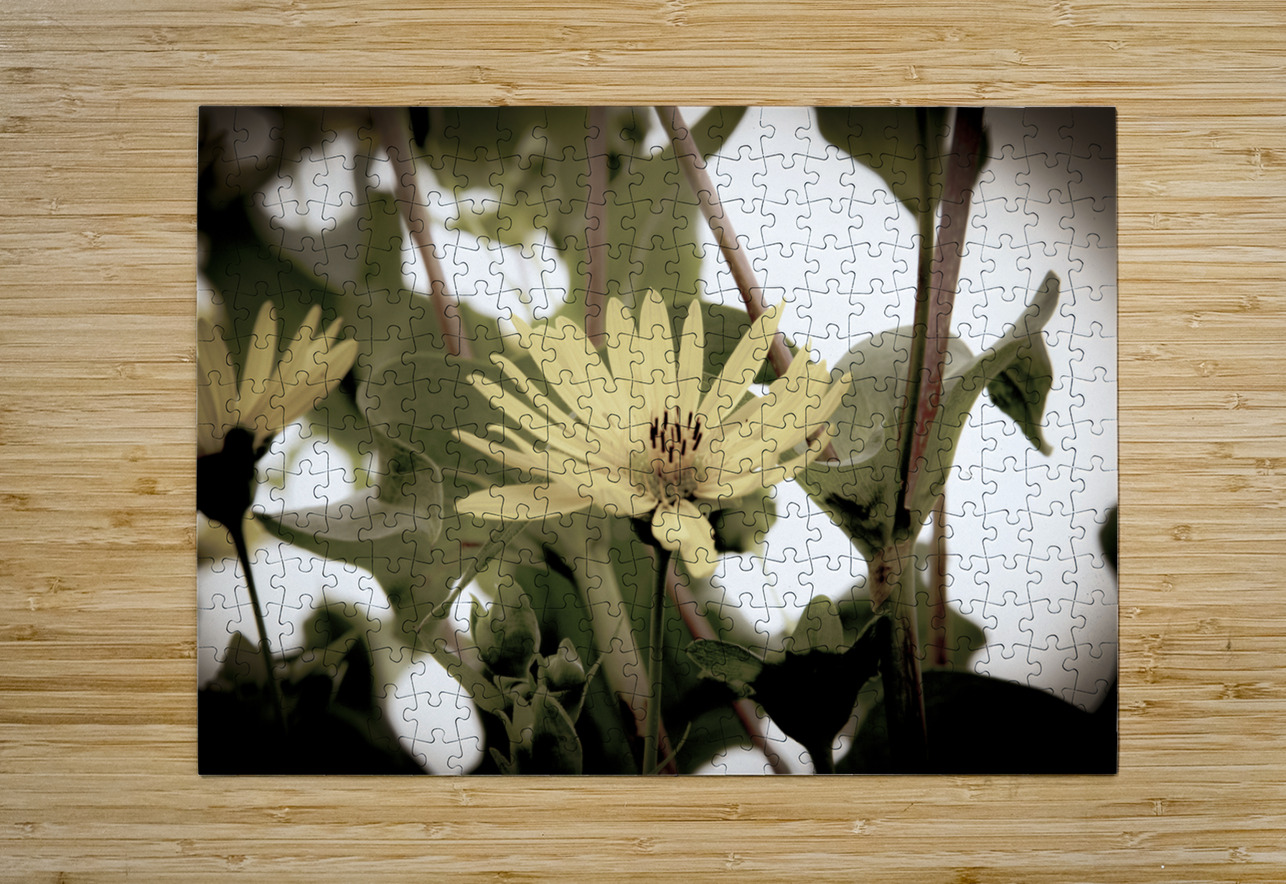 Nature reinventee : Decouvrez le tournesol en macro desature  Melissa Lefebvre Puzzle printing