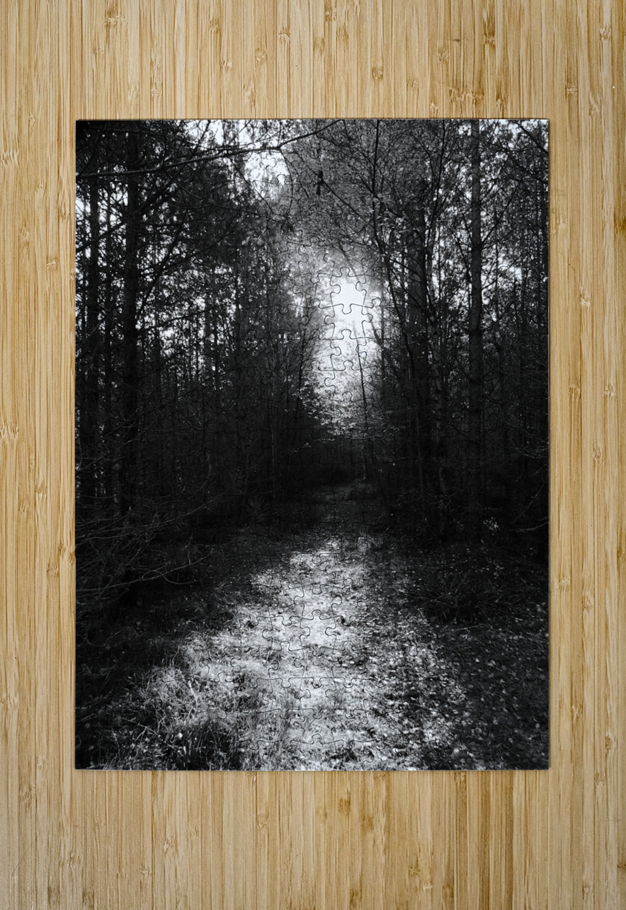  Autumns Suns Dark Kiss for the Scottish Highlands Catriona Roberts Nature Photography and Designs Puzzle printing