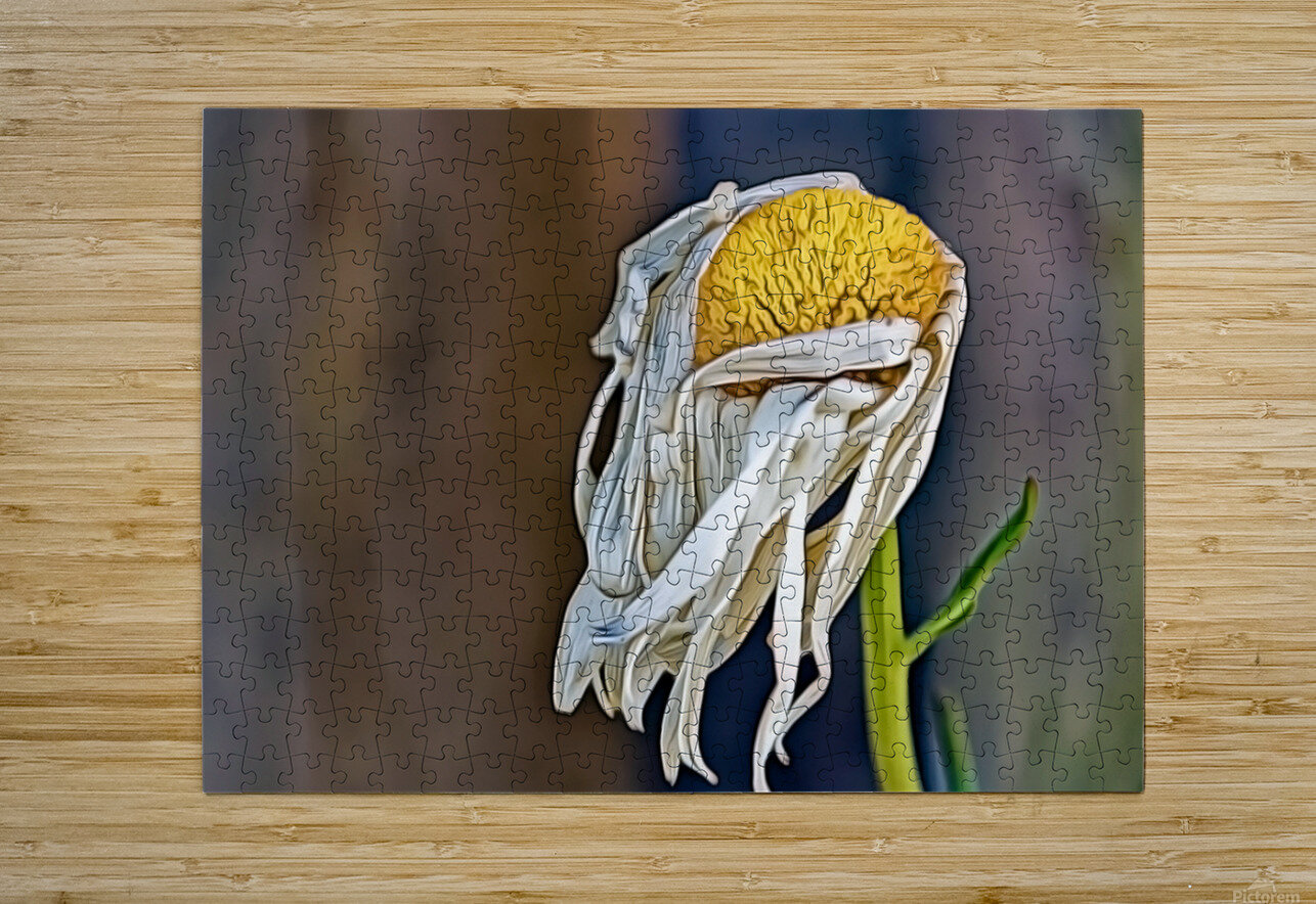 Past Its Prime CRB Images Photography Puzzle printing