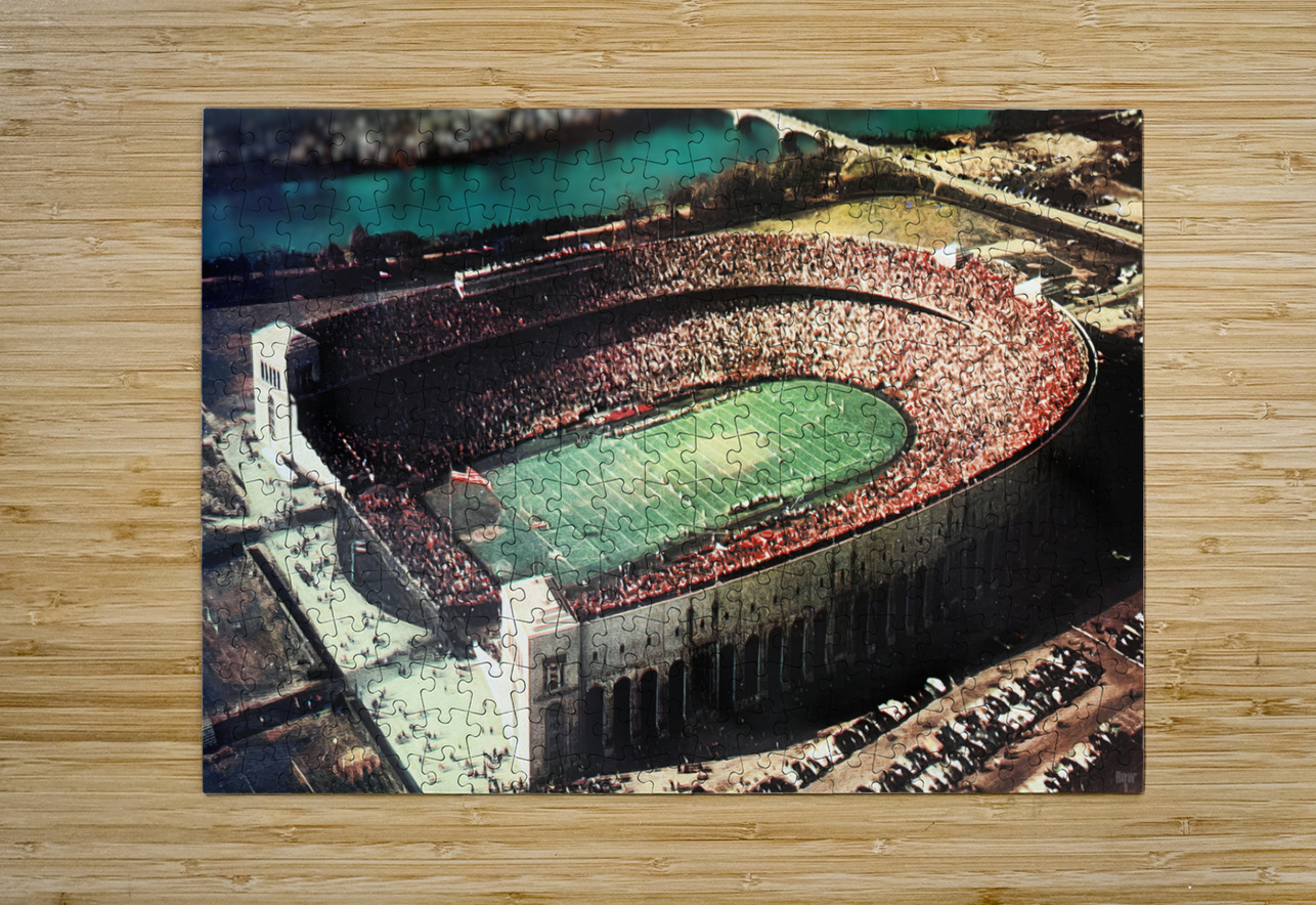 Vintage Ohio Stadium Gameday Art Row One Brand Puzzle printing