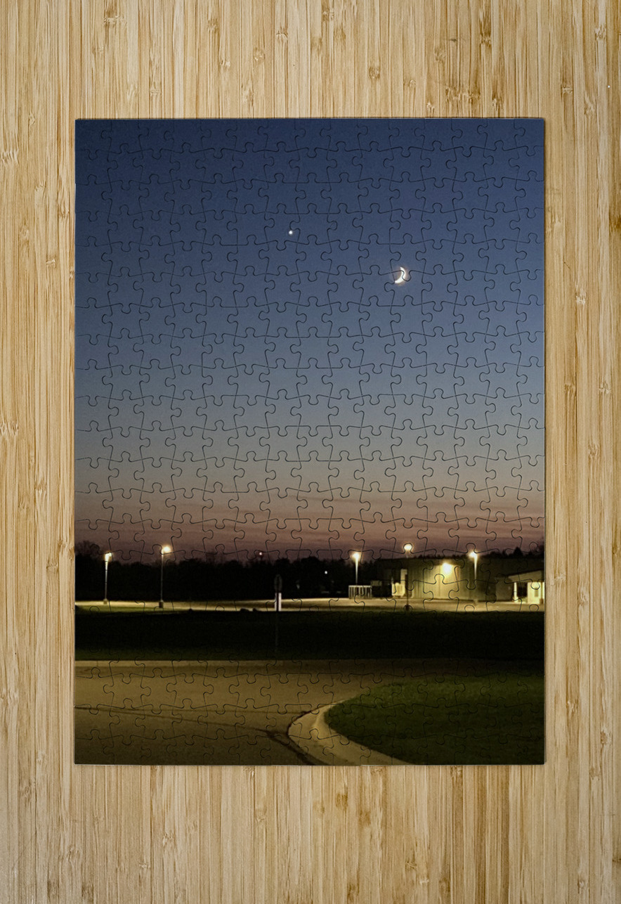 DavisonEve Mary Kobet  Puzzle printing