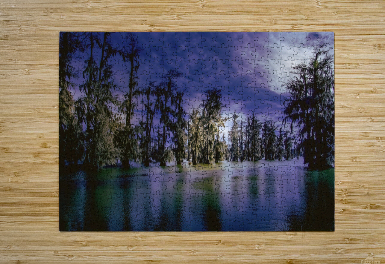 Winter Wanderings at Lake Martin Louisiana Norma Brandsberg Photography Puzzle printing