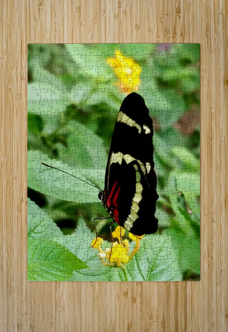 Butterfly Earthshine Emporium Puzzle printing