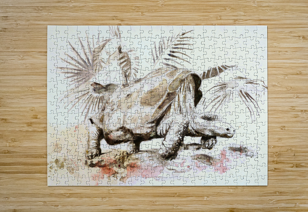 Galapagos Tortoise David Edwards Puzzle printing