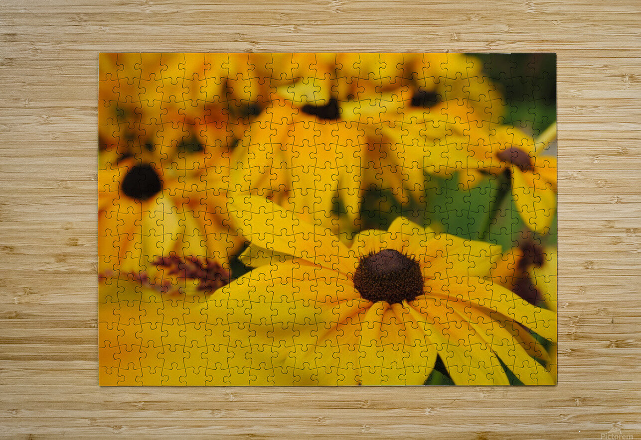 Wild Flowers Dakota Rocha Puzzle printing