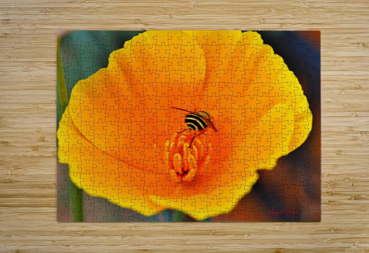 Flower with wasp Bruce Brown Puzzle printing