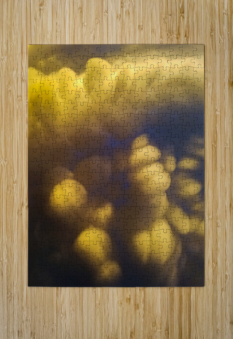 The Thing Light + Water Photography Puzzle printing