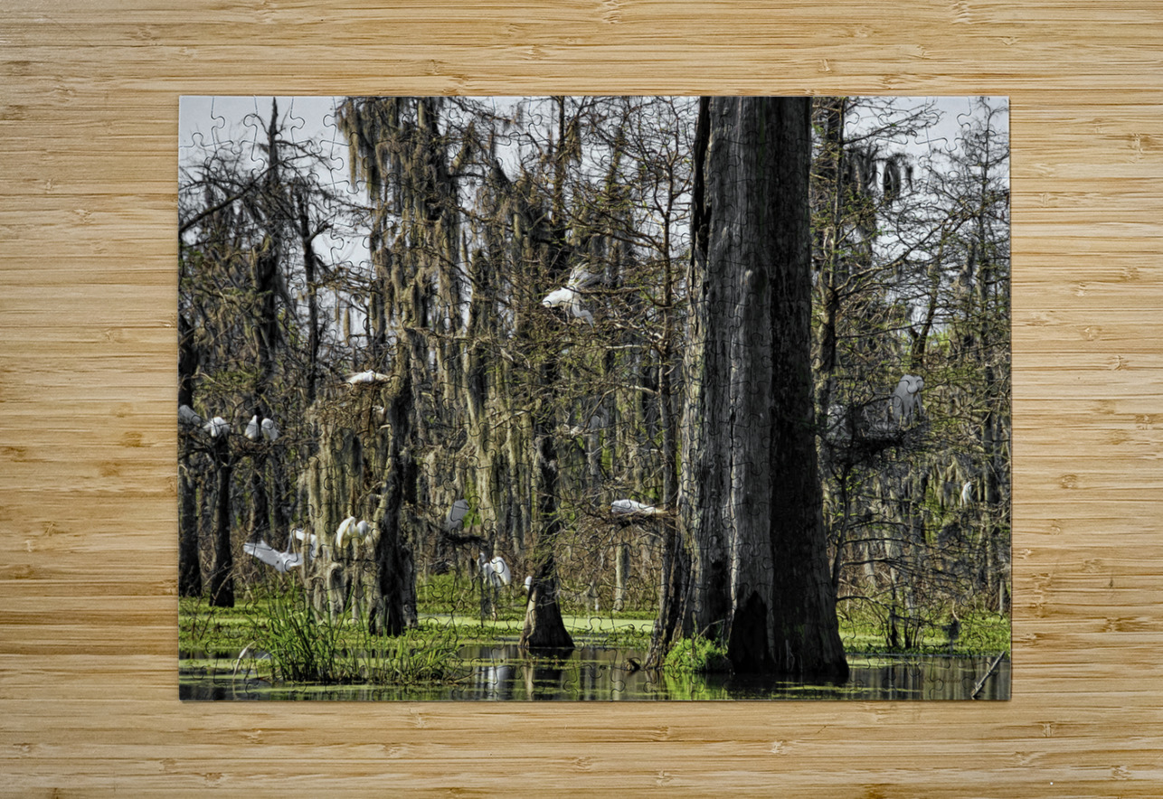 ROOKERY Digicam Puzzle printing