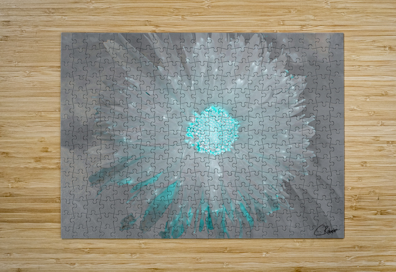 Turquoise Silver Daisy on Light Abstract Background Catriona Roberts Nature Photography and Designs Puzzle printing