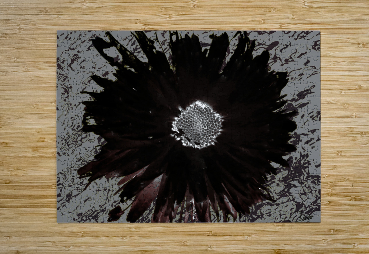 Dark Daisy with White Centre on a Grey Abstract Background Catriona Roberts Nature Photography and Designs Puzzle printing