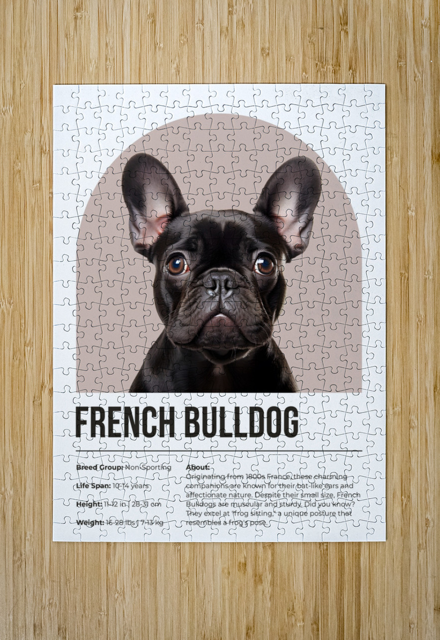 French Bulldog Informative Poster Windawn Puzzle printing