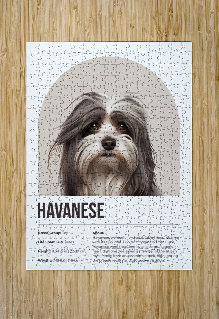 Havanese Informative Poster Windawn Puzzle printing