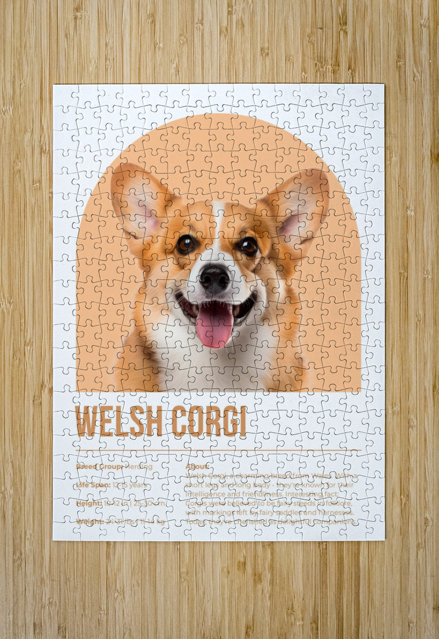 Welsh Corgi Informative Poster Windawn Puzzle printing