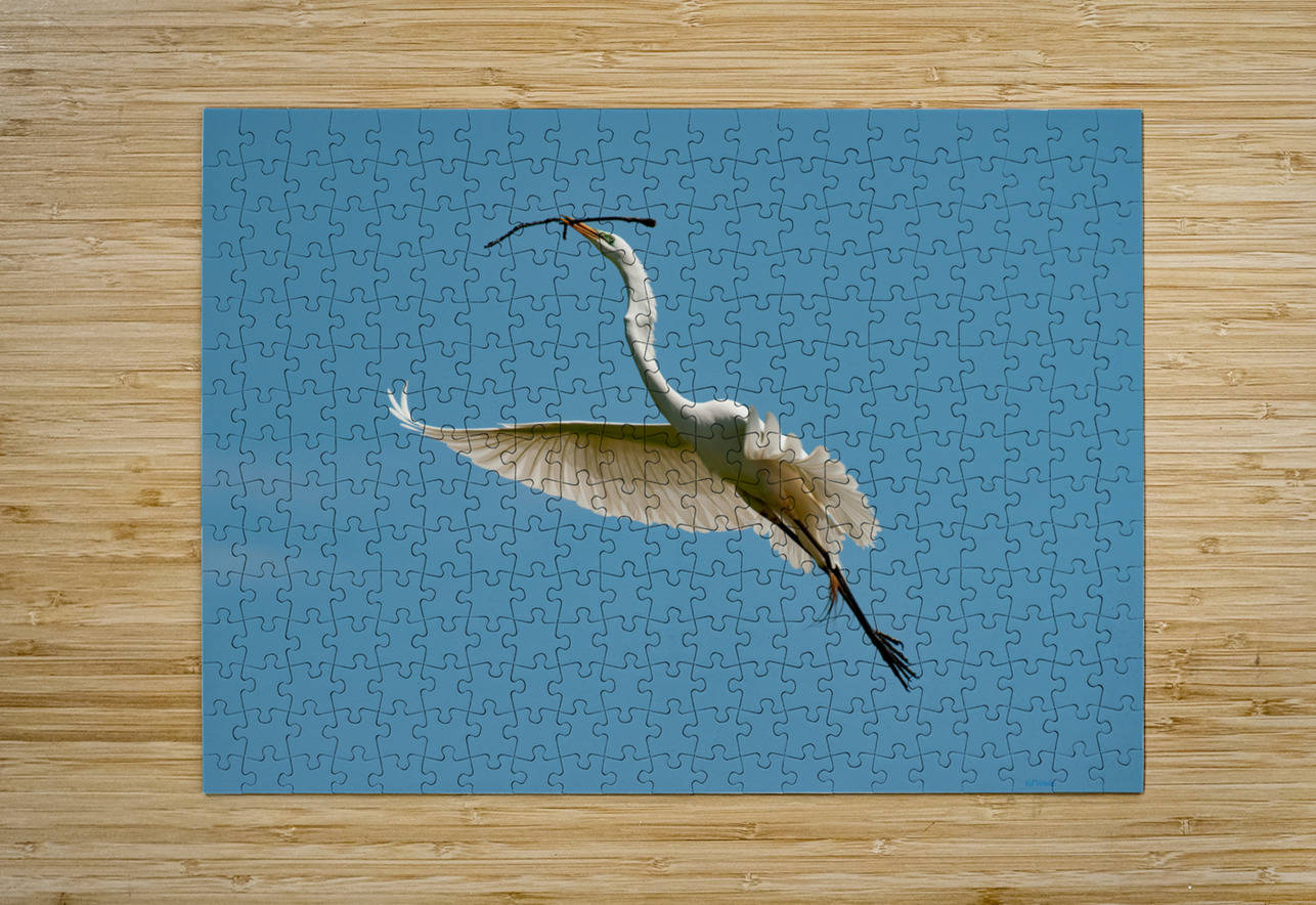 PERFECT BALANCE Digicam Puzzle printing