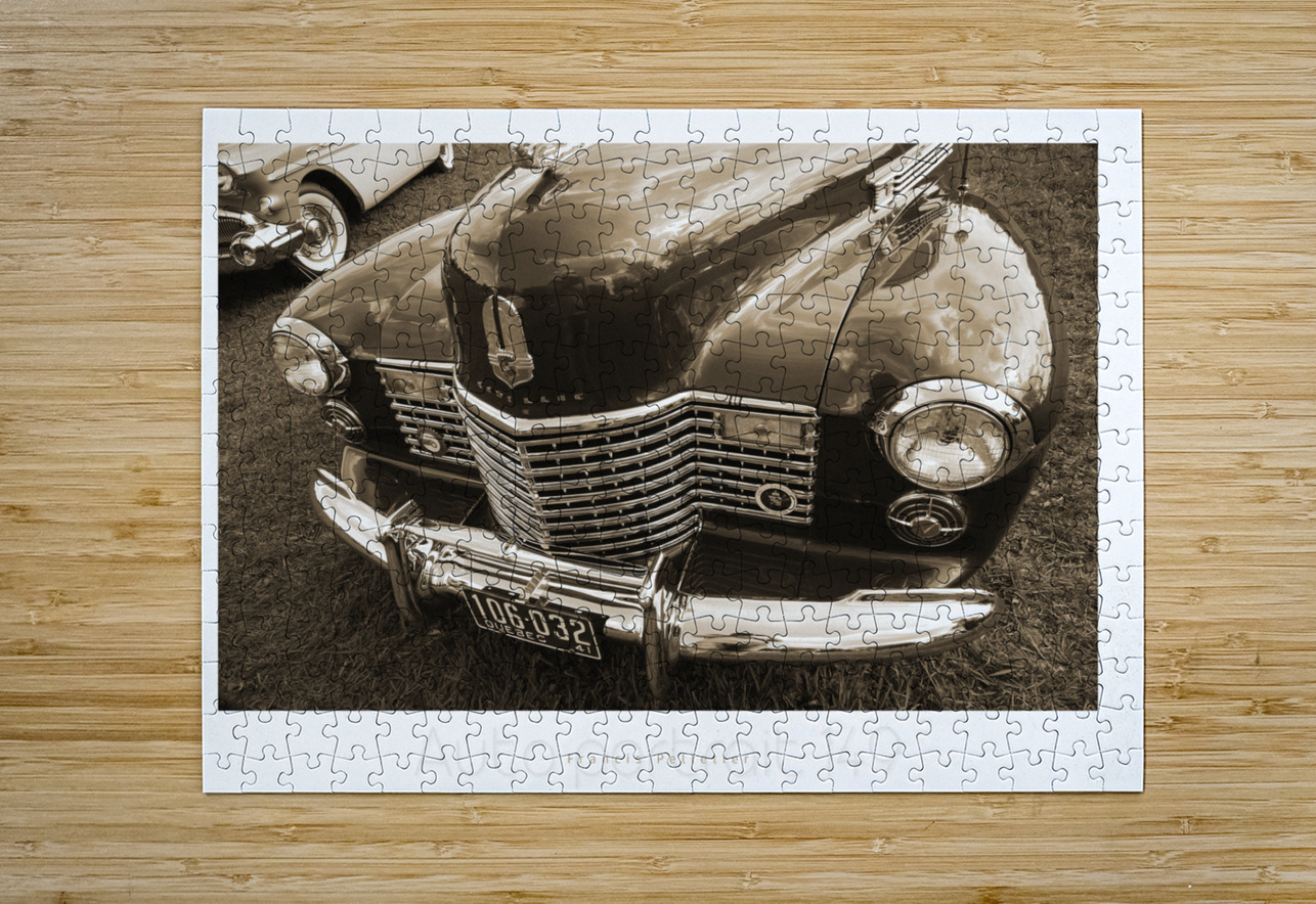 AUTO PORTRAIT 149 Francis Pelletier Puzzle printing