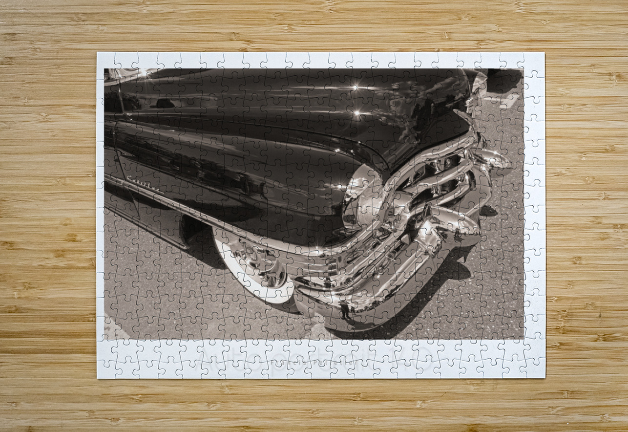 AUTO PORTRAIT 140 Francis Pelletier Puzzle printing