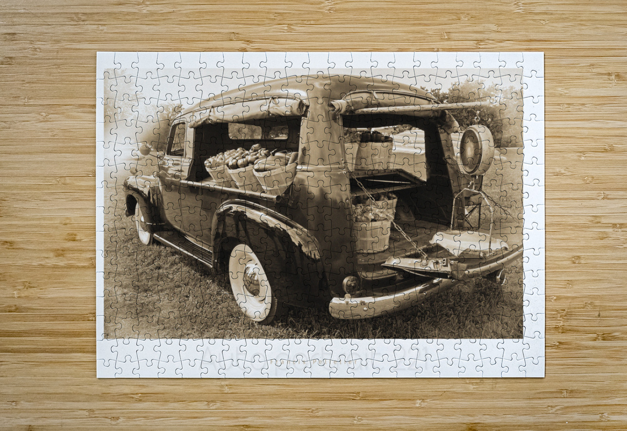 AUTO PORTRAIT 221 Francis Pelletier Puzzle printing
