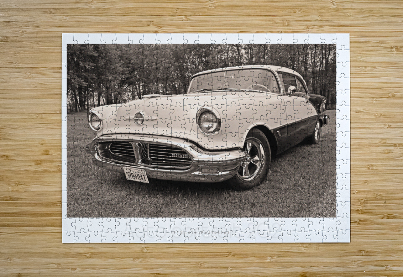 AUTO PORTRAIT 202 Francis Pelletier Puzzle printing