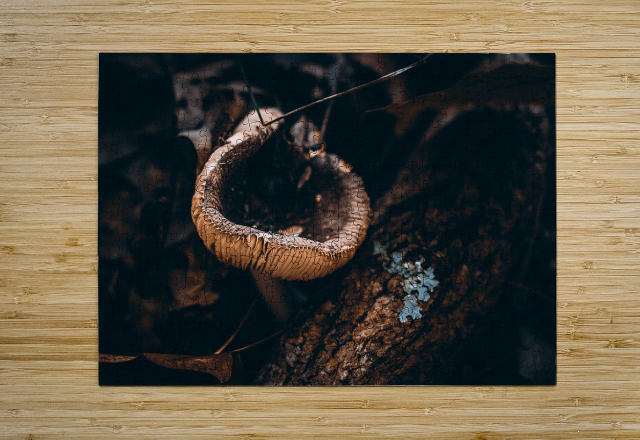 Mystical Fungi: Cupped in the Autumn Woods Dream World Images Puzzle printing