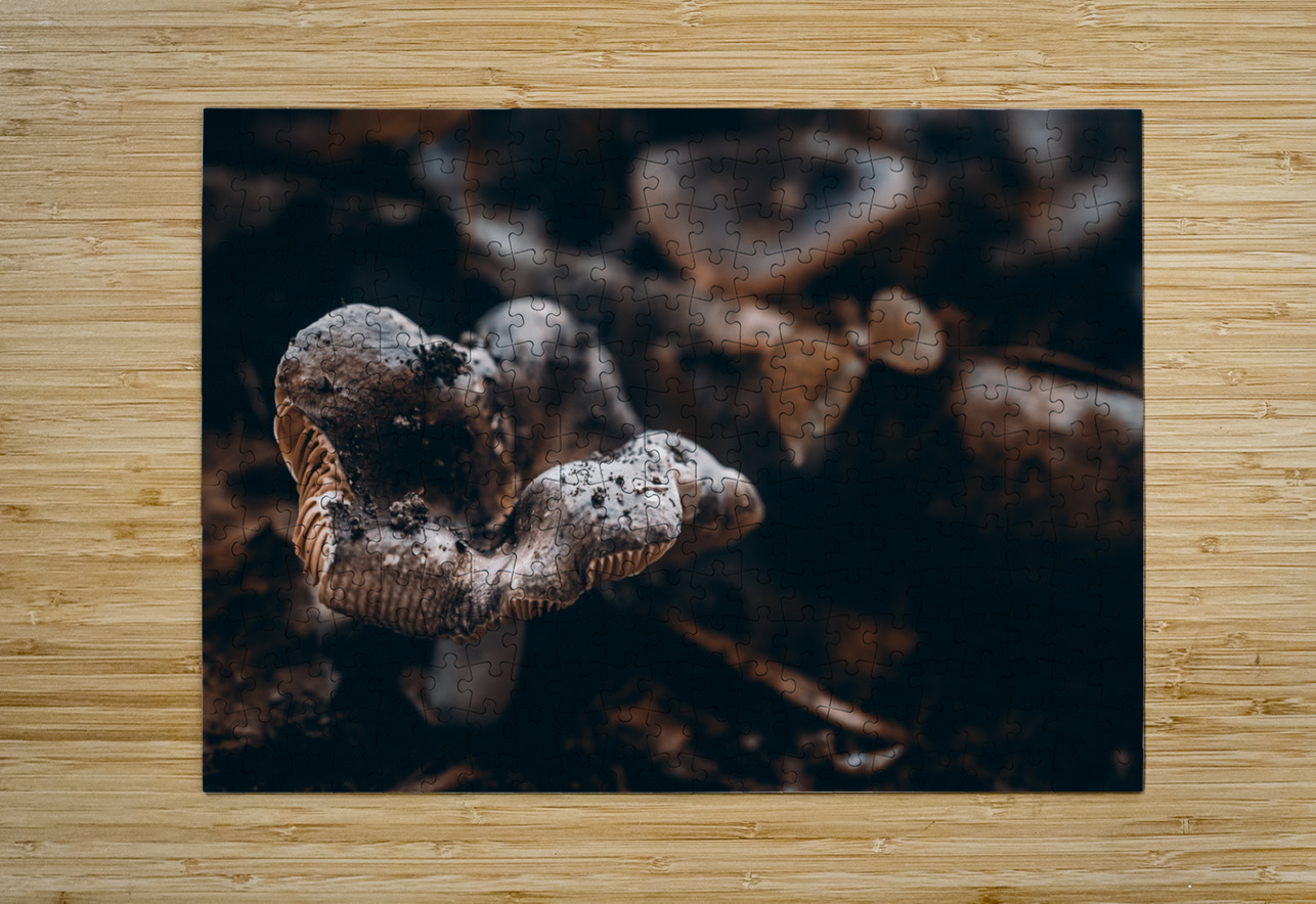 Mystical Fungi: Ring of Mystery Saturnine Mushroom Dream World Images Puzzle printing