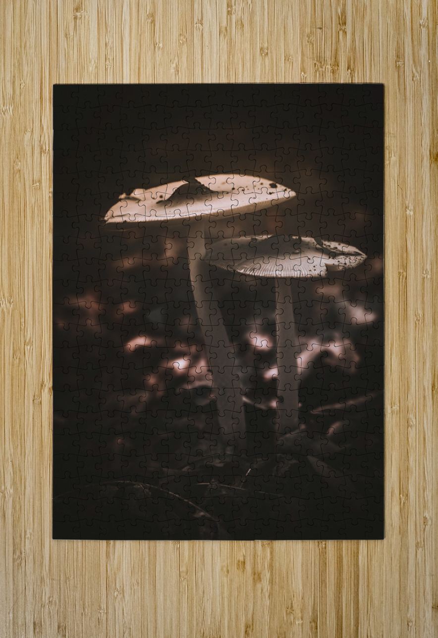 Mystical Fungi: Big Brother Shroom in the Woodland Realm Dream World Images Puzzle printing