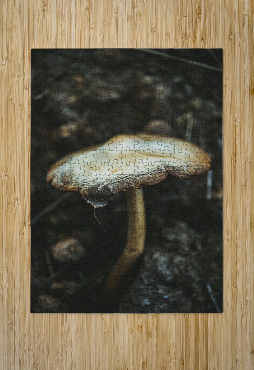Montana Ranch Shroom: Saddlewood Mushroom Dream World Images Puzzle printing