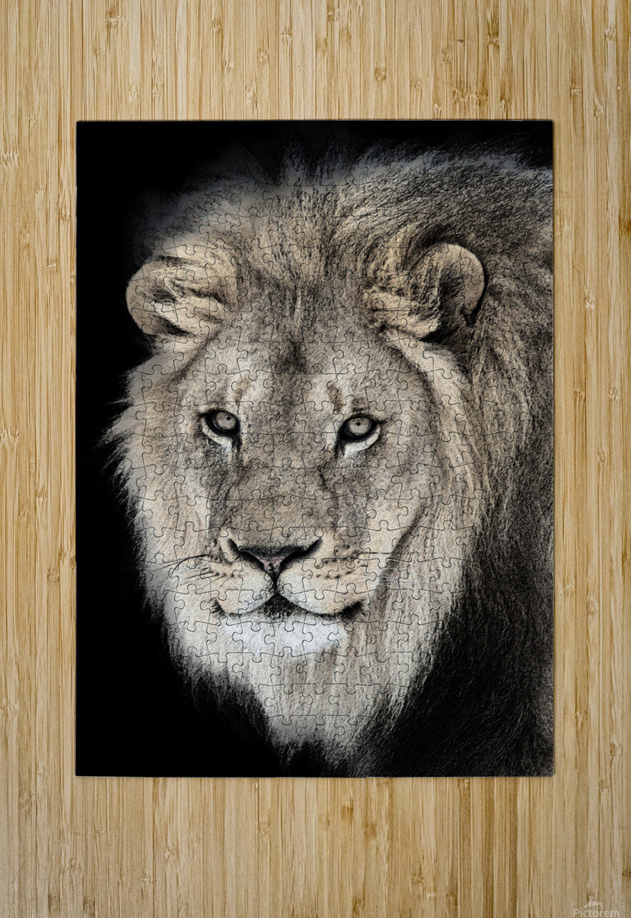 Courage B Zolle Puzzle printing