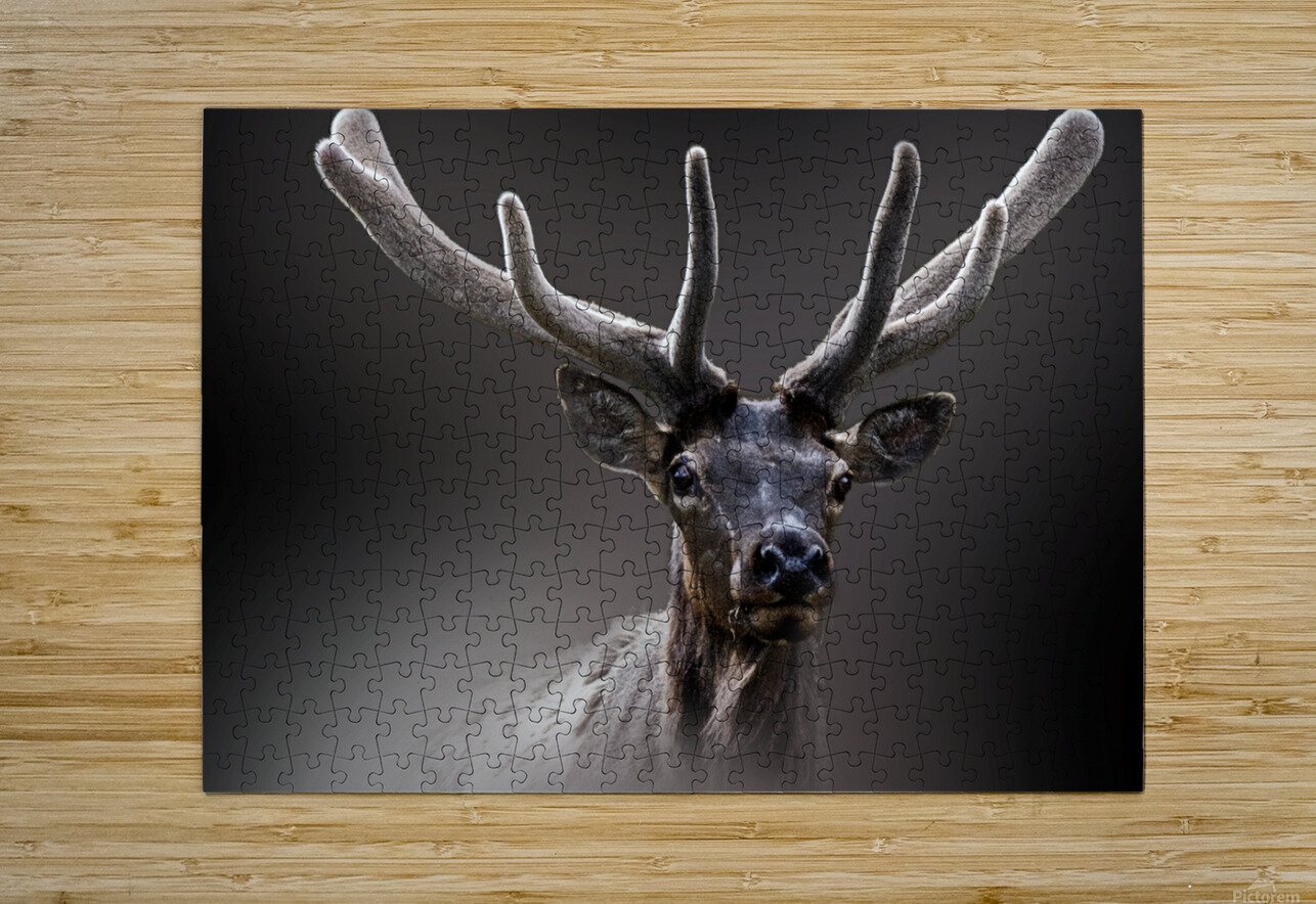 A New Crown B Zolle Puzzle printing